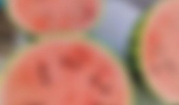 天气预报吃瓜版,天气预报带你吃瓜避暑攻略