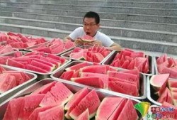 沧州学校吃瓜,揭秘校园食品安全背后的真相