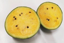 未世囤货吃瓜,吃瓜群众如何应对危机四伏的生存挑战