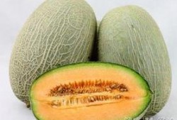 星期可以吃哈密瓜吗,哈密瓜的适宜食用日历