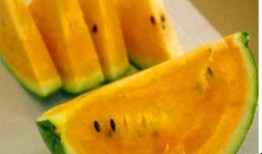 黄色吃瓜食品有哪些,盘点那些令人垂涎的黄色美食佳肴