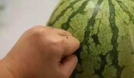 敲桌子吃瓜了,揭秘娱乐圈幕后风云