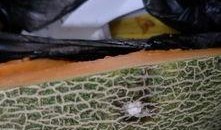 波斯蜜瓜咋吃,尽享夏日清新美味