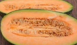 中午吃哈密瓜,哈密瓜带来的清新甜蜜时光