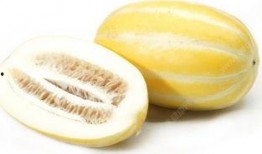 吃瓜舌头吃烂了怎么办,紧急应对指南