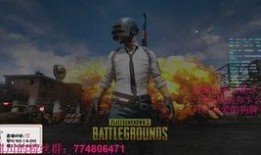 无限吃瓜在线,揭秘网络时代下的娱乐狂欢