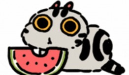 有人喊我吃瓜,跟随“吃瓜群众”探寻幕后真相