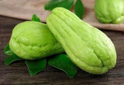 瓜可以生着吃吗,探索瓜类生吃的奥秘
