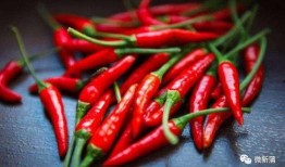 吃辣椒卖瓜上海,探寻“吃辣椒卖瓜”的独特上海风情