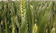 仓炫吃瓜,揭秘娱乐圈幕后故事