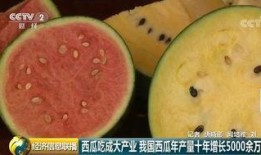 厚力瓜怎么吃,解锁美味新体验