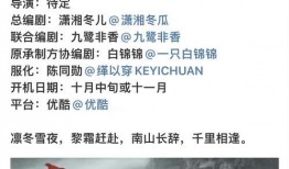 理性吃瓜的启示,揭秘网络舆论背后的真相