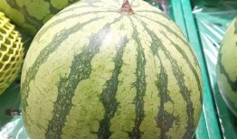 吃瓜大百科,揭秘娱乐圈幕后真相与趣味故事