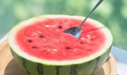 吃西瓜养瓜,从吃瓜到养瓜的奇妙旅程