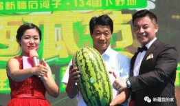 在主角身边吃瓜,揭秘幕后故事