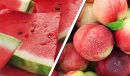 麻瓜吃西瓜,西瓜的奇幻之旅