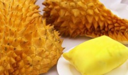 吃榴莲可以吃小瓜吗?,揭秘榴莲配小瓜的独特风味