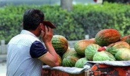 在路边吃瓜,揭秘路边吃瓜的独特魅力