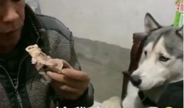 梦到姥爷给我瓜吃,姥爷送瓜的温馨瞬间