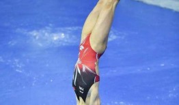 跳水集体上线吃瓜,揭秘网络热议背后的真相